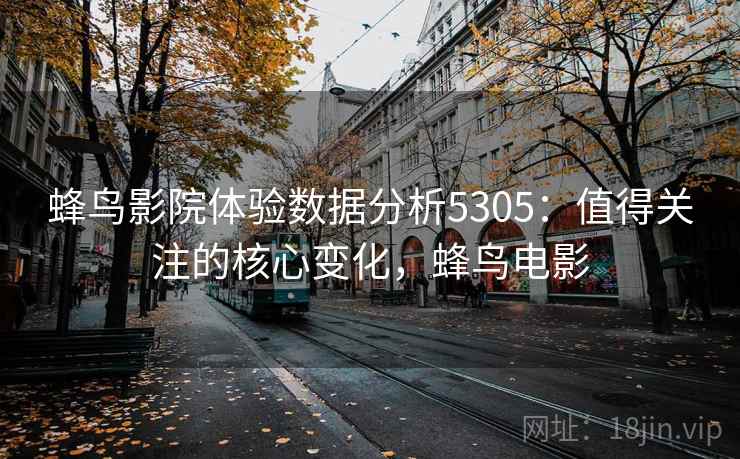蜂鸟影院体验数据分析5305：值得关注的核心变化，蜂鸟电影