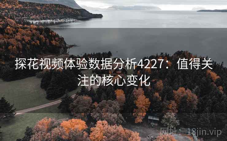 探花视频体验数据分析4227：值得关注的核心变化