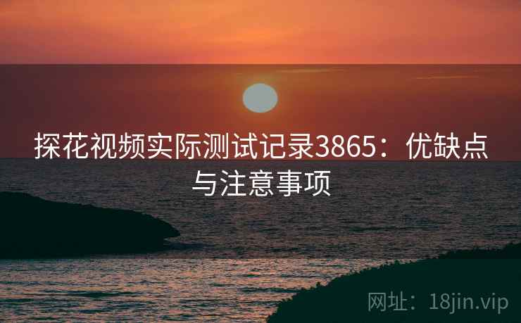 探花视频实际测试记录3865：优缺点与注意事项