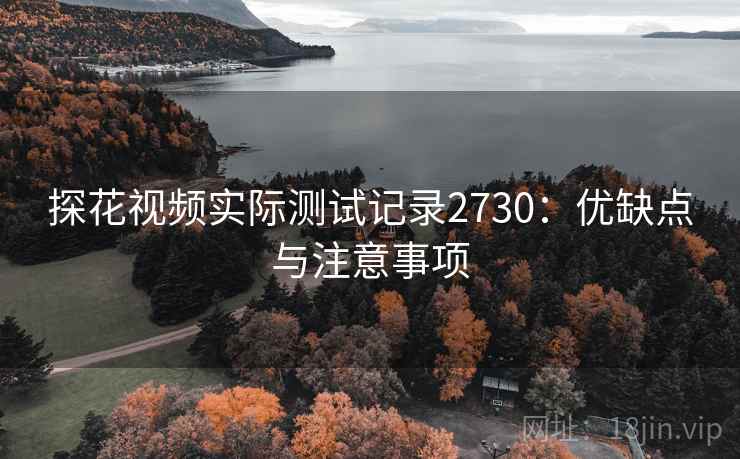 探花视频实际测试记录2730:优缺点与注意事项 探花视频实际测试记录2730:优缺点与注意事项