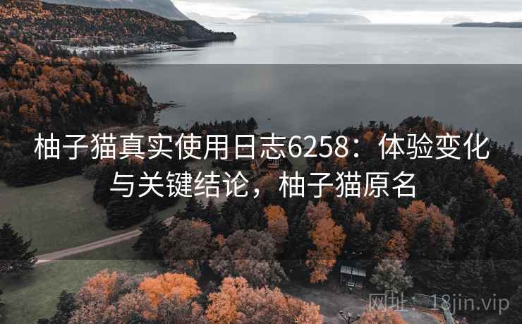 柚子猫真实使用日志6258：体验变化与关键结论，柚子猫原名