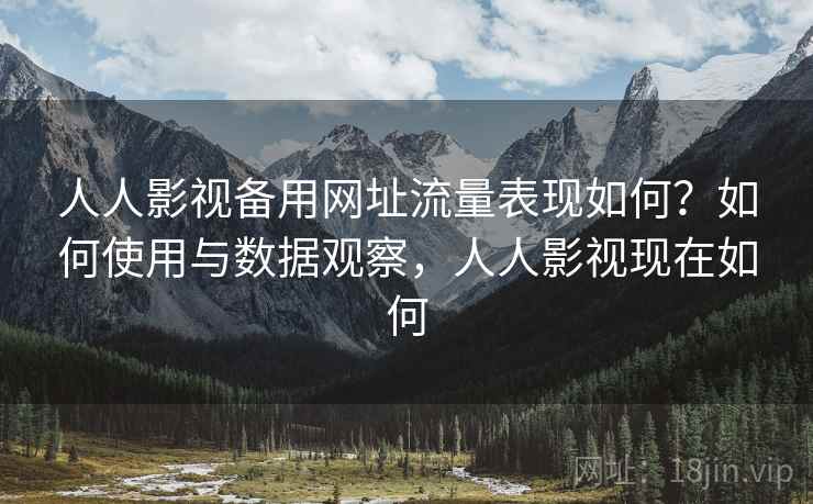 人人影视备用网址流量表现如何？如何使用与数据观察，人人影视现在如何
