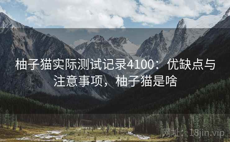 柚子猫实际测试记录4100：优缺点与注意事项，柚子猫是啥