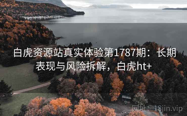 白虎资源站真实体验第1787期：长期表现与风险拆解，白虎ht+