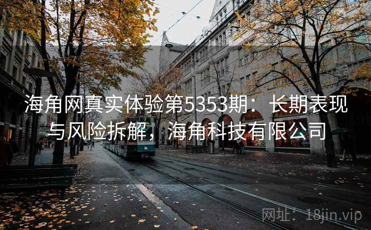 海角网真实体验第5353期：长期表现与风险拆解，海角科技有限公司