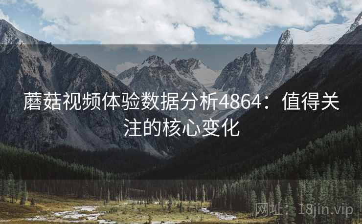 蘑菇视频体验数据分析4864：值得关注的核心变化