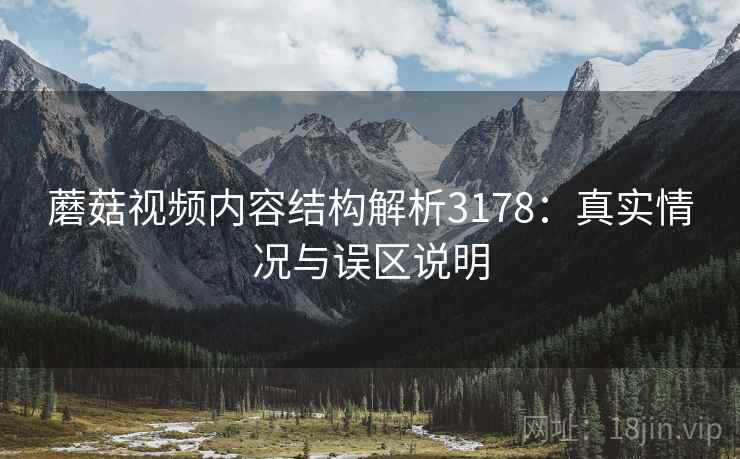 蘑菇视频内容结构解析3178：真实情况与误区说明