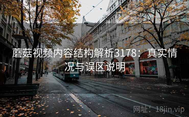 蘑菇视频内容结构解析3178：真实情况与误区说明